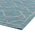 Veranda Villa Transitional Rug // Aqua (2'7"L x 7'3"W)