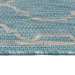 Veranda Villa Transitional Rug // Aqua (2'7"L x 7'3"W)