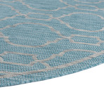 Veranda Villa Transitional Rug // Aqua (2'7"L x 7'3"W)