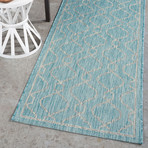 Veranda Villa Transitional Rug // Aqua (2'7"L x 7'3"W)