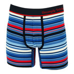 Bold Stripes Boxer Brief // Blue + Multi (2XL)