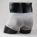 Boat Boxer Brief // Grey (M)