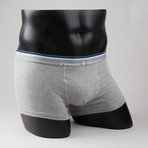 Boat Boxer Brief // Grey (L)