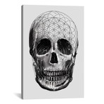 Sacred Skull (18"W x 26"H x 0.75"D)