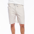 Baja Stripe Yacht Short // Sky Grey + Salmon (XL)