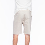 Baja Stripe Yacht Short // Sky Grey + Salmon (L)