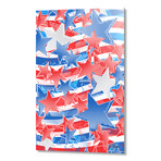 Artistic LXXXVI - Americana Pattern, NE // Tmarchev // Aluminum Print (16"W x 24"H)