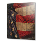 The American Flag // Louisa Catharine Forsyth (20"W x 16"H x 1.5"D // Aluminum Print)