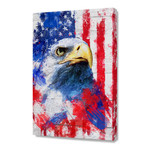 Artistic XLIII - American Pride / NE // Tmarchev // Stretched Canvas (16"W x 24"H x 1.5"D)