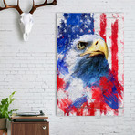 Artistic XLIII - American Pride / NE // Tmarchev // Stretched Canvas (16"W x 24"H x 1.5"D)