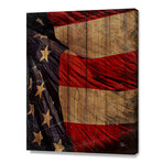 The American Flag // Louisa Catharine Forsyth (20"W x 16"H x 1.5"D // Stretched Canvas)