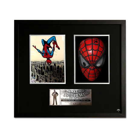 Spiderman Mask // Shadow Box