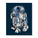 More than a Droid // Canvas Print (16"W x 20"H x 1.5"D)