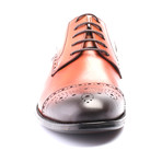 Perforated Captoe Brogue Derby // Tobacco (Euro: 42)