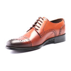 Perforated Captoe Brogue Derby // Tobacco (Euro: 45)