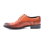 Perforated Captoe Brogue Derby // Tobacco (Euro: 43)