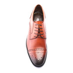 Perforated Captoe Brogue Derby // Tobacco (Euro: 44)