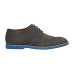 Nubuck Contrast Stiched Wingtip Derby // Gray + Blue (Euro: 43)