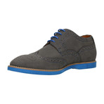 Nubuck Contrast Stiched Wingtip Derby // Gray + Blue (Euro: 43)