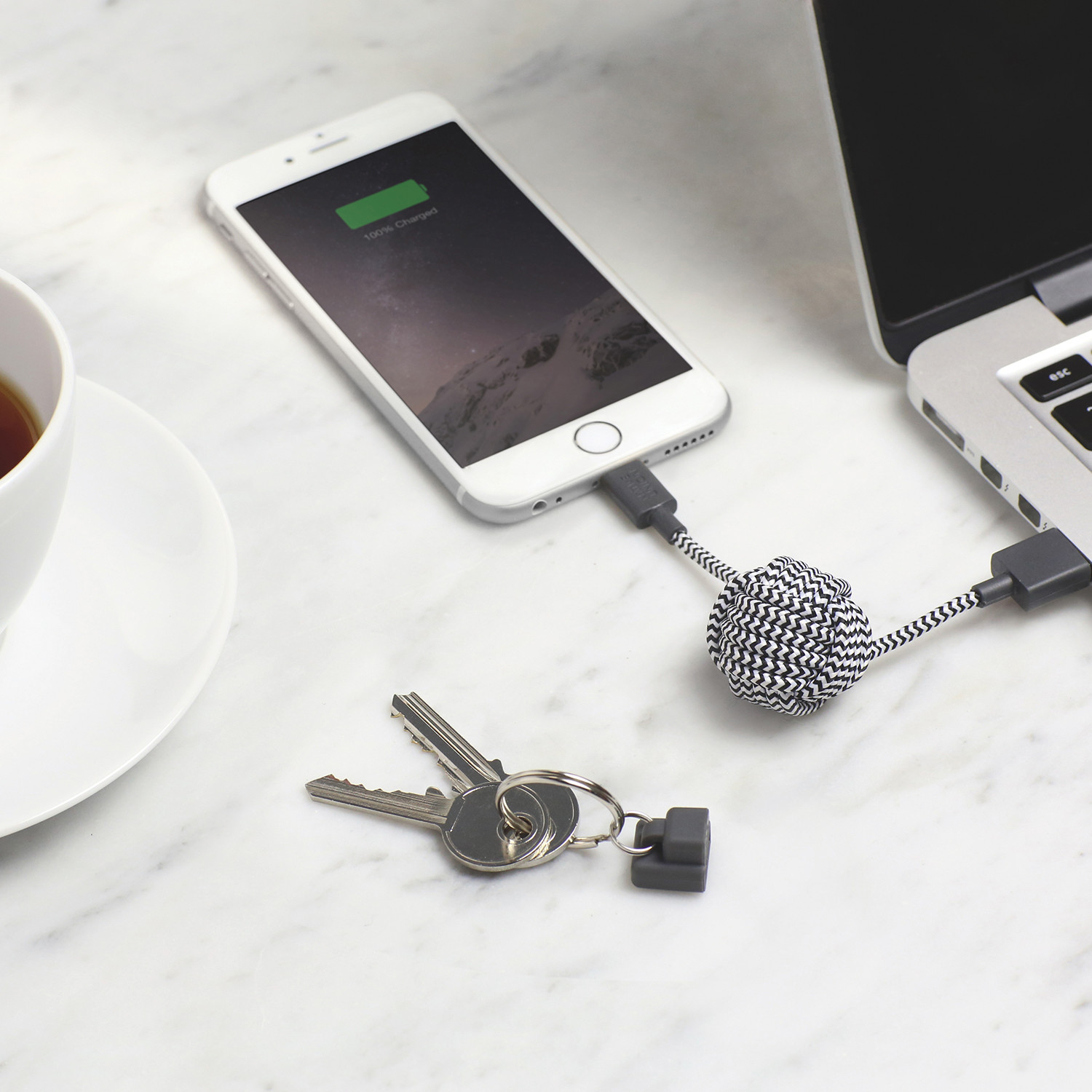 KEY Cable // Lightning // Zebra - Native Union - Touch of Modern