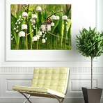 Lily of the Valley (16"W x 12"H x .75"D)