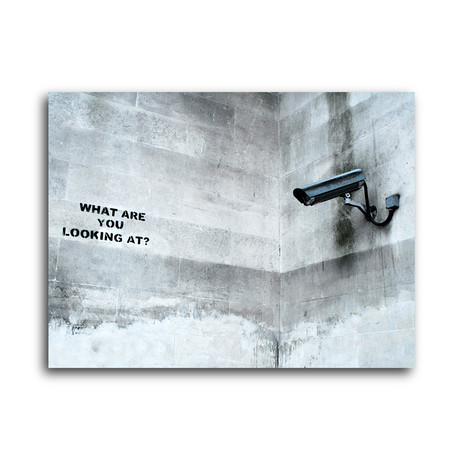 What Are You Looking At? (14"W x 11"H)