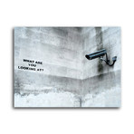 What Are You Looking At? (14"W x 11"H)