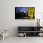 Street Flower (14"W x 11"H)