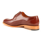 Imperial Derby // Chestnut (Euro: 40)