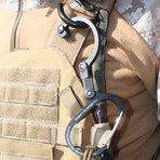 QLIPLET (Blue Steel)