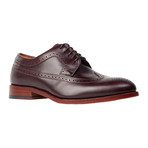 Findlay Wingtip Derby // Bordeaux (Euro: 40)