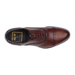 Logan Cap Toe Oxford // Dark Brown (US: 9.5)