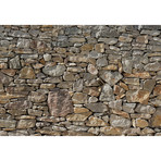 Stone Wall Mural