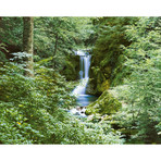 Waterfall In Spring Wall Mural