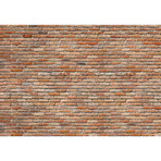 Brick Wall Mural
