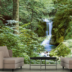 Waterfall In Spring Wall Mural