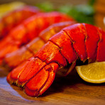 Maine Lobster Tails // 12 Pack (12 Pack // July 19 Delivery)