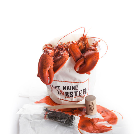 Live Maine Jumbo Lobsters // 4 Pack (4 Pack // July 19 Delivery)