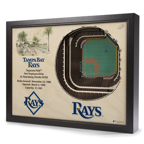 Tampa Bay Rays // Tropicana Field