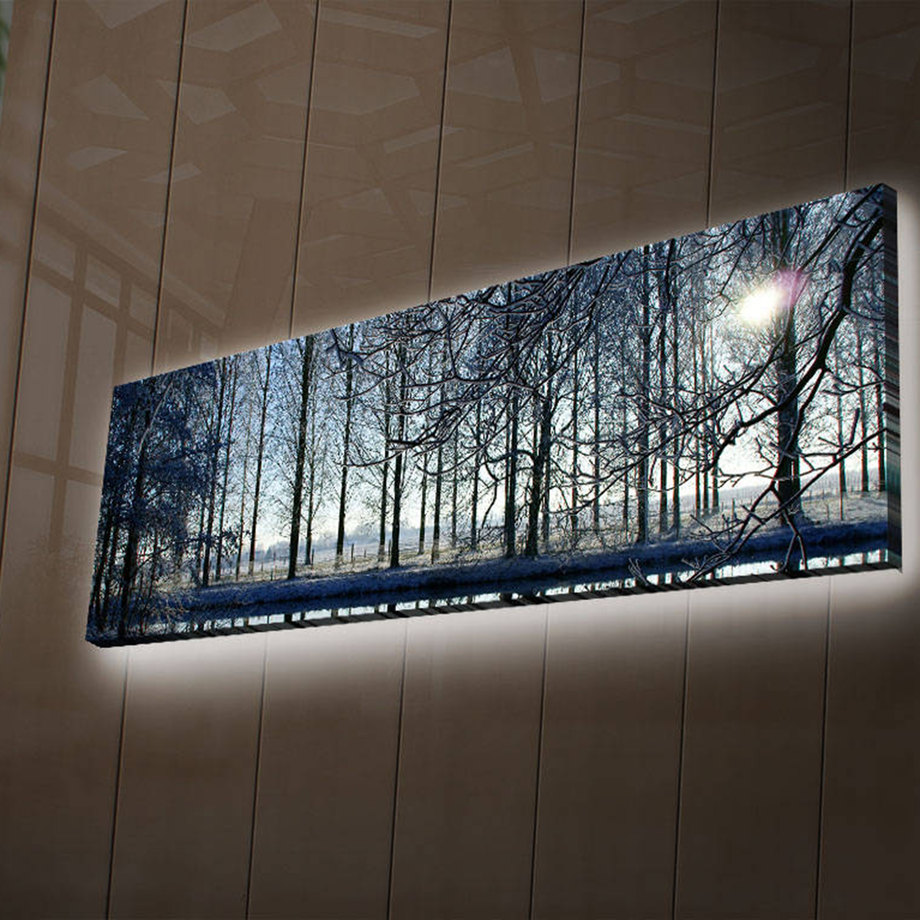 LED Canvas Art Nature Inspired Illuminated Art Touch of Modern