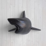The Pacific Faux Shark Head (Black)