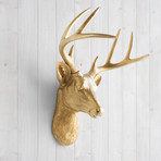 The Virginia Faux Deer Head (White)