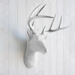 The Virginia Faux Deer Head (White)