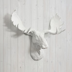 The Alberta Faux Moose Head (White)