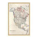 Map of North America // Framed Painting Print (12"W x 18"H x 1.5"D)