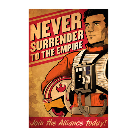 Never Surrender To The Empire (18"W x 24"H)