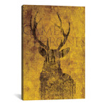 House Baratheon (18"W x 26"H x 0.75"D)