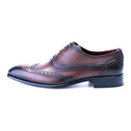 Perforated Wingtip Oxford Brogue // Antique Brown (Euro: 45)
