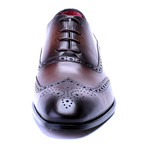 Perforated Wingtip Oxford Brogue // Antique Brown (Euro: 43)