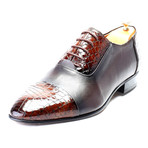 Omer Mixed Textured Croc Embossed Captoe Oxford // Tobacco + Bordeaux (Euro: 44)